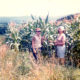 Al and Mom Corn