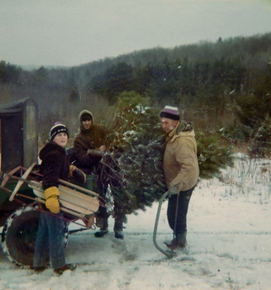 Cutting a Christmas Tree