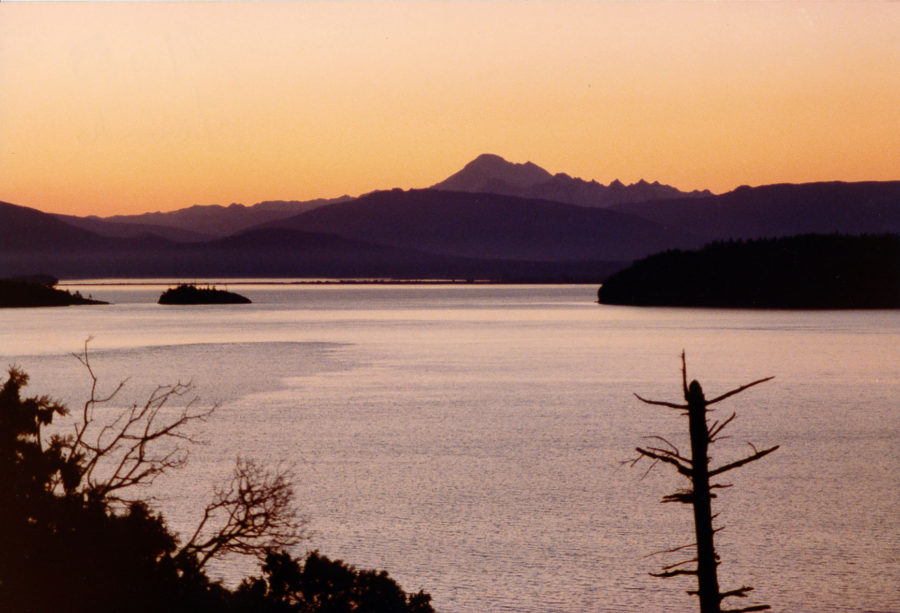 Mt. Baker